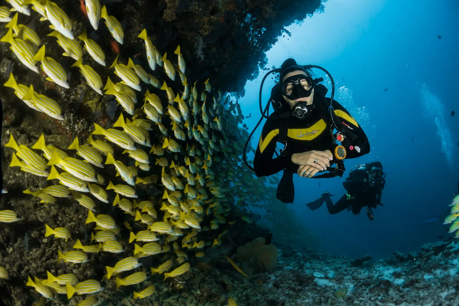 Scuba Diving at Netrani Island, Murudeshwar