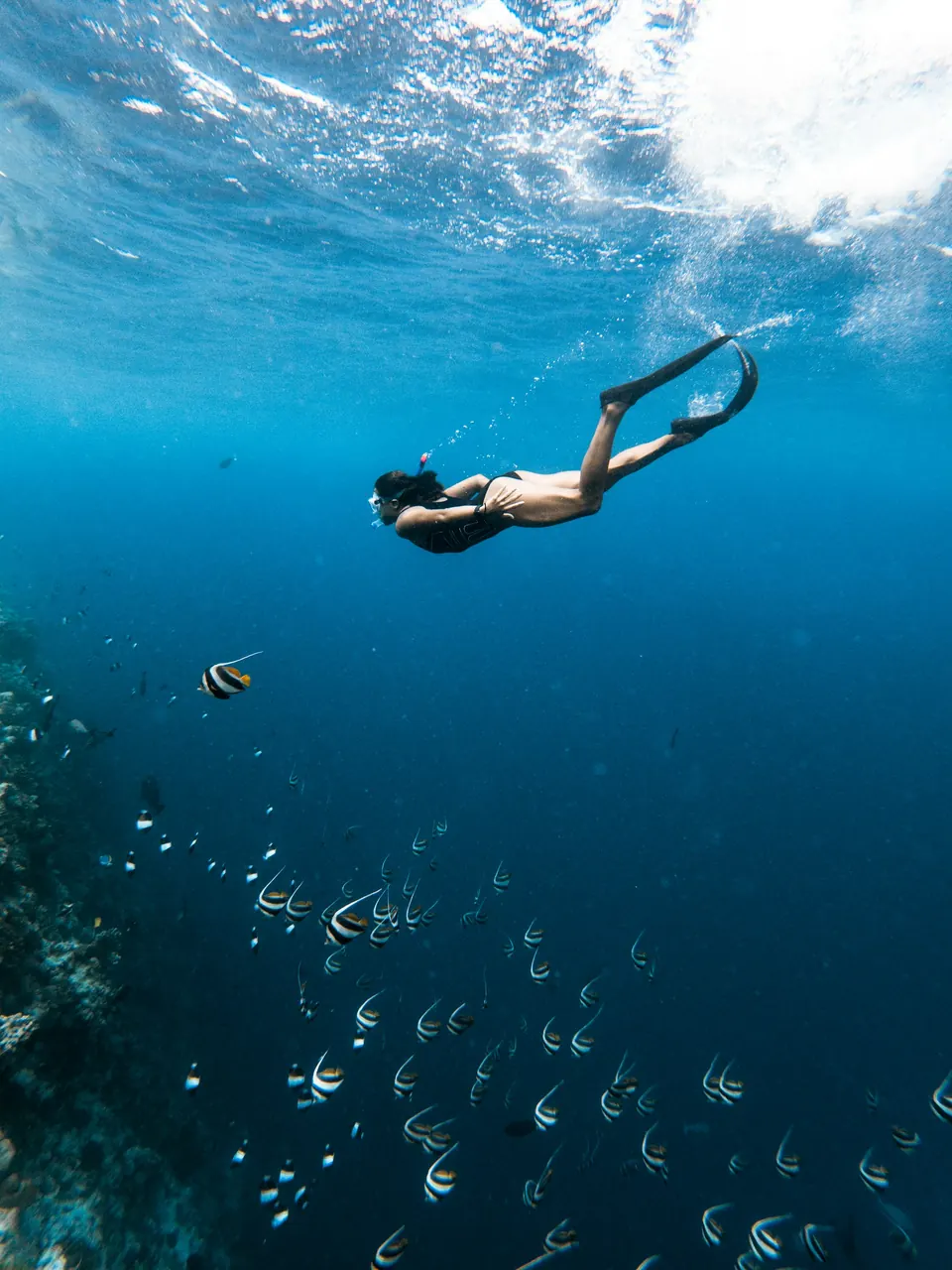 Snorkelling at Netrani Island, Murudeshwar